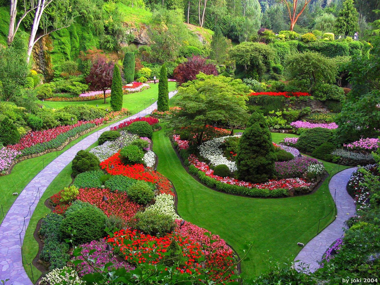 Designing A Garden garden design connect your indoor and outdoor spaces The Garden Design Process Amanda Broughton Design Designing A Garden garden design with landscaping iverson homes blog with backyard ideas with fire pits from iversonhomes The Garden Design Process Amanda Broughton Design